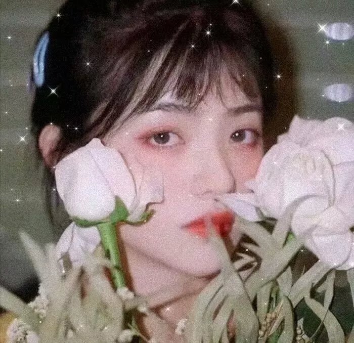 秘密：梦想的力量